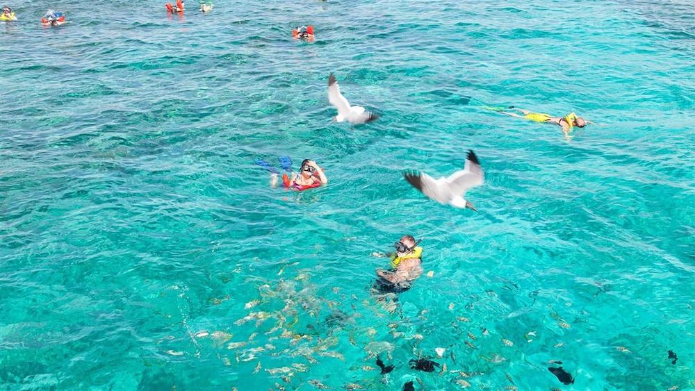 The Marlin At Taino Beach Resort Freeport Luaran gambar